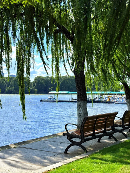 3-Day Private Customized Tour of Nanjing