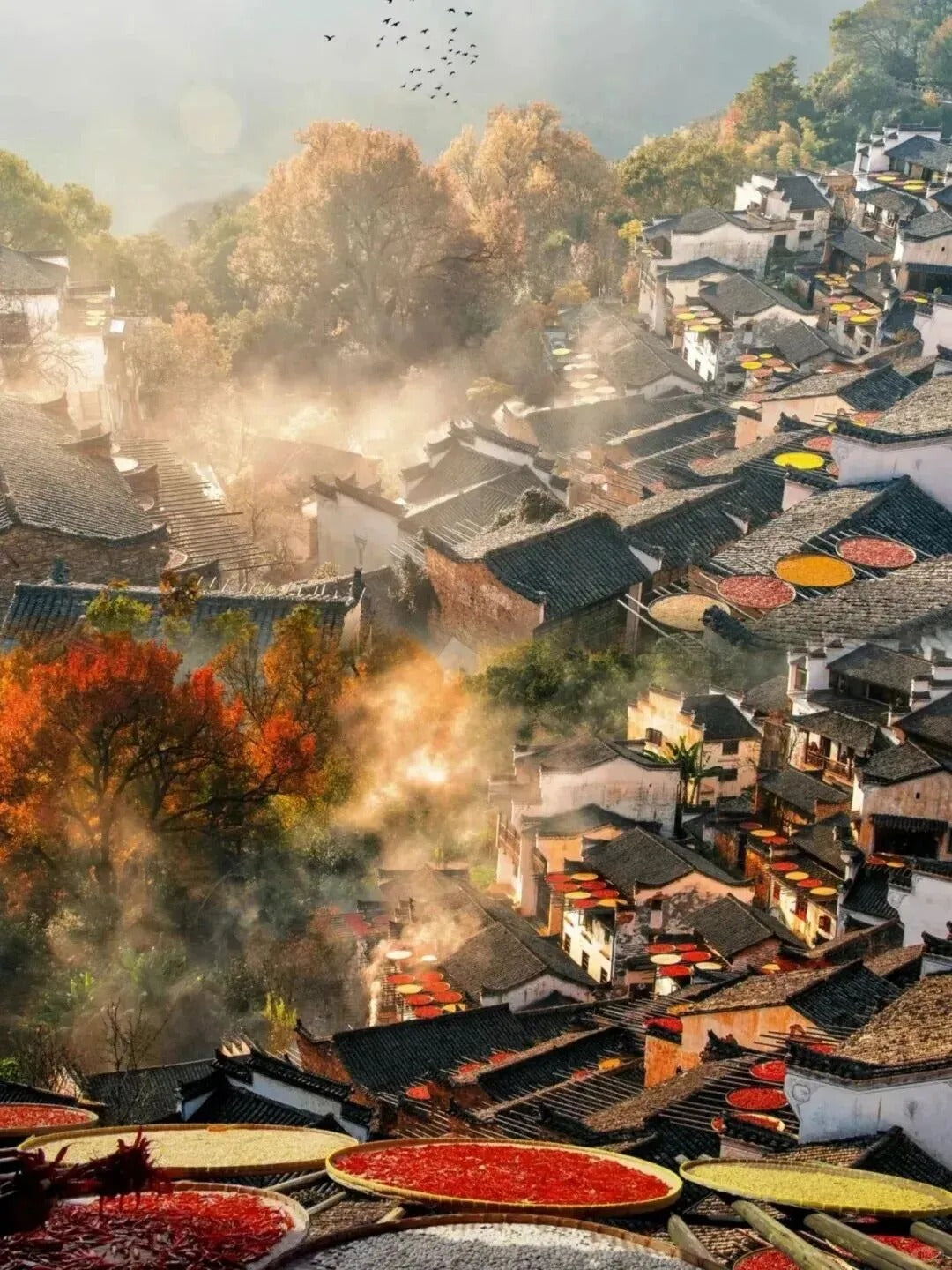 Gexian · Wangxian · Sanqing · Wunuzhou · Huangling 4D Tour