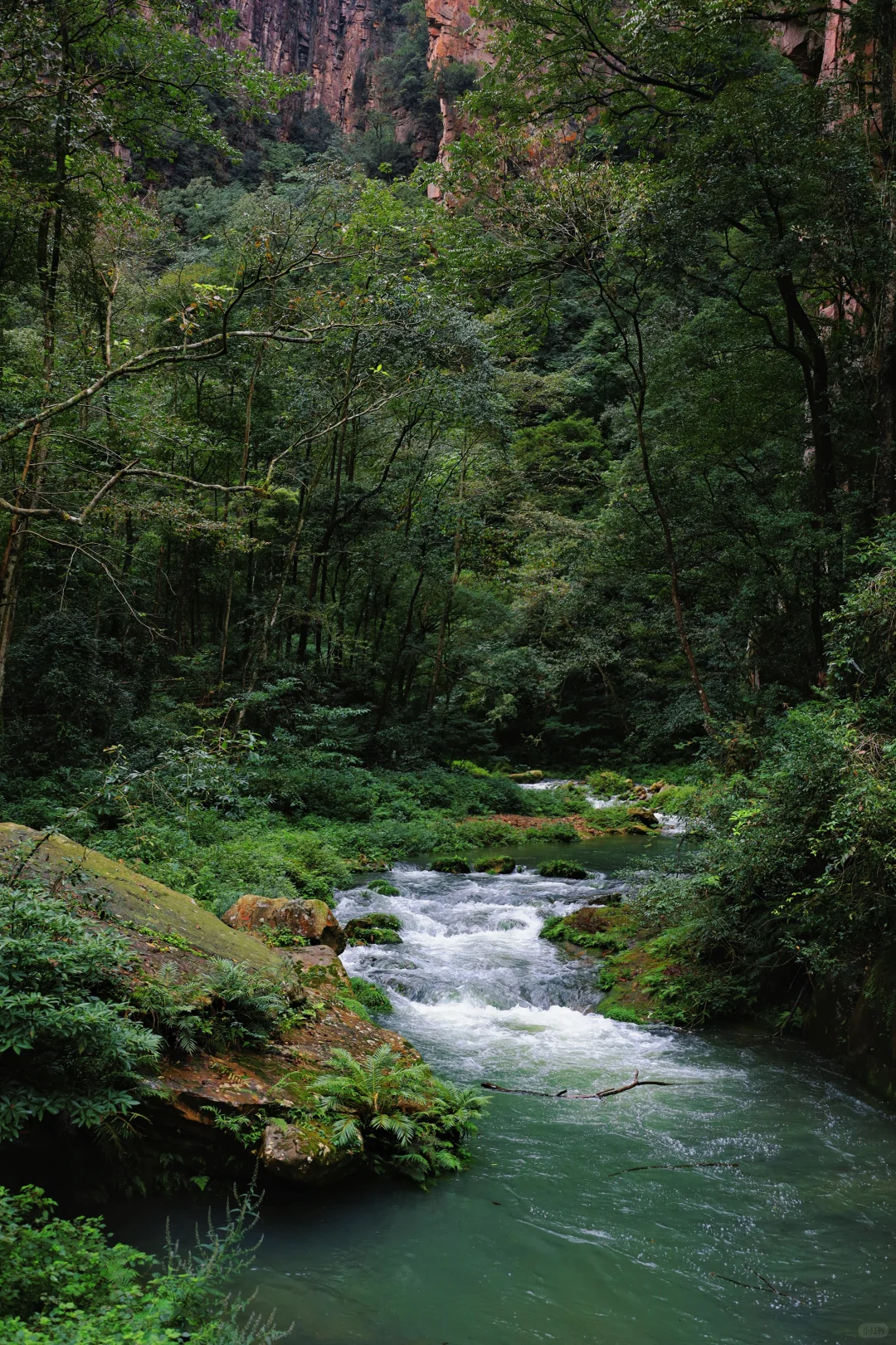 Ultra-Luxury Zhangjiajie 5-Day 4-Night Tour