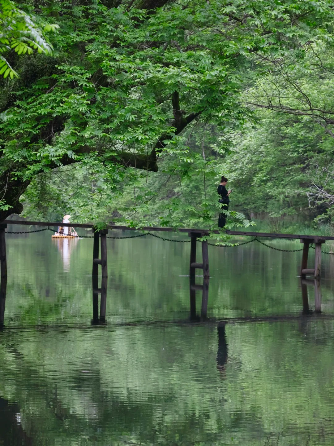 5-Day Majestic Huangshan Scenery Feast Tour