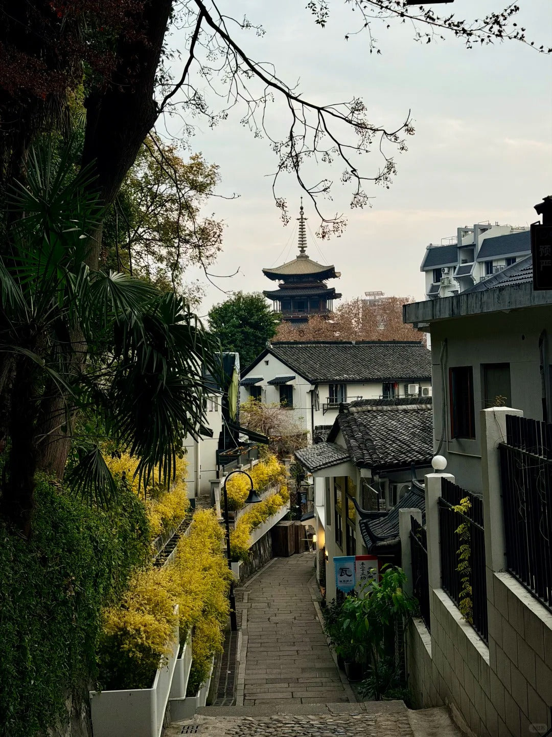 Youlemei 6-Day Private Tour