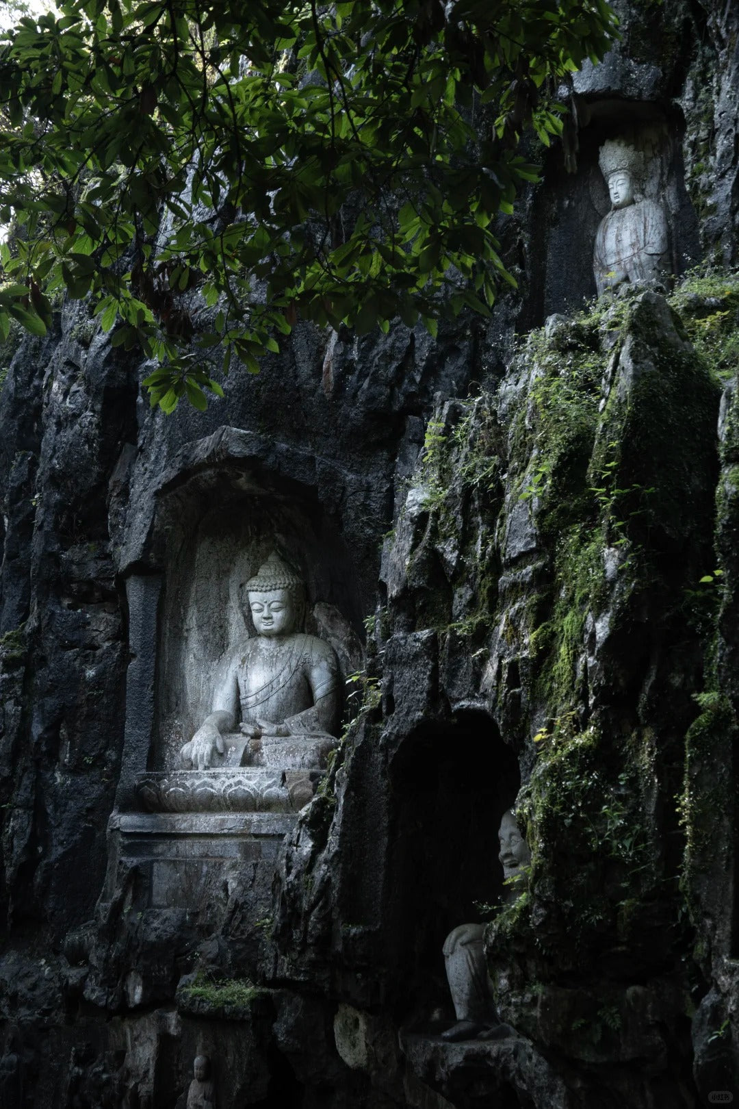 4-Day Premium Small-Group Tour of "Little Jiangnan