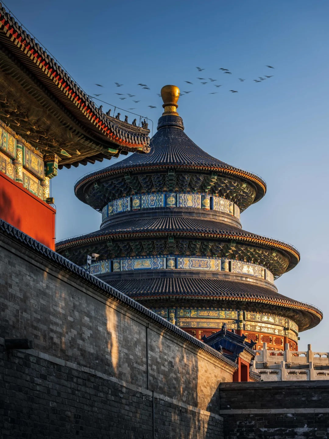 5-Day Customized Tour of Beijing