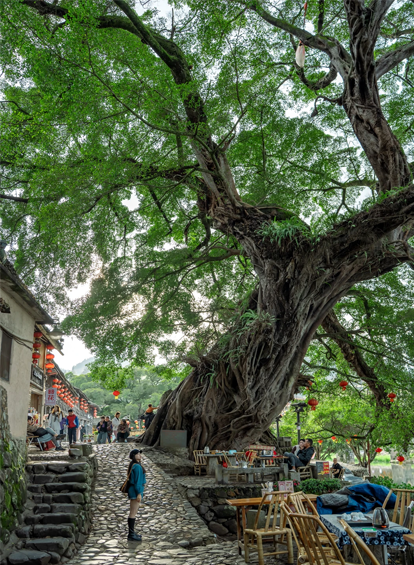 4-Day Xiamen & Hakka Tulou Private Tour