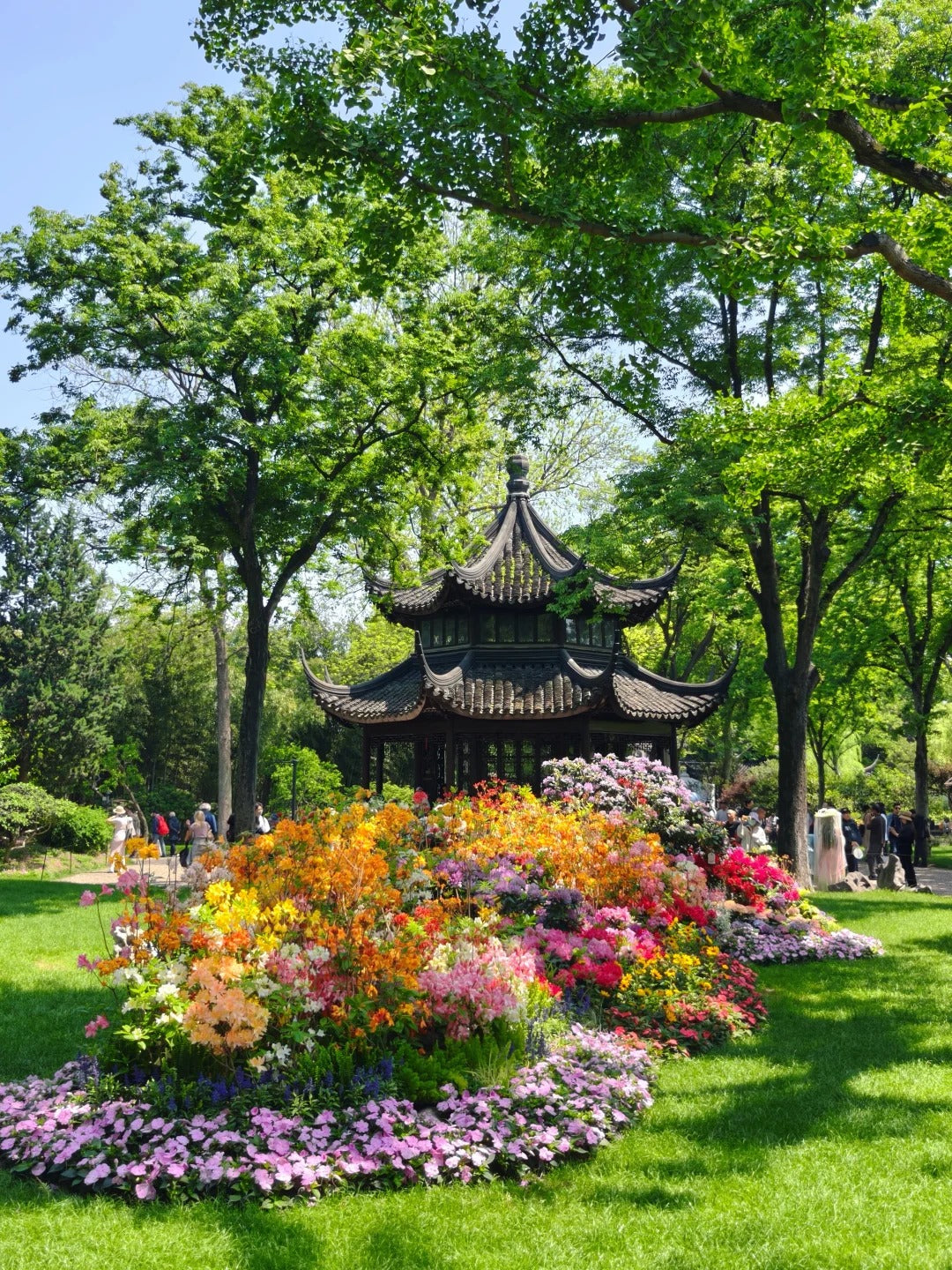 4-Day Premium Small-Group Tour of "Little Jiangnan