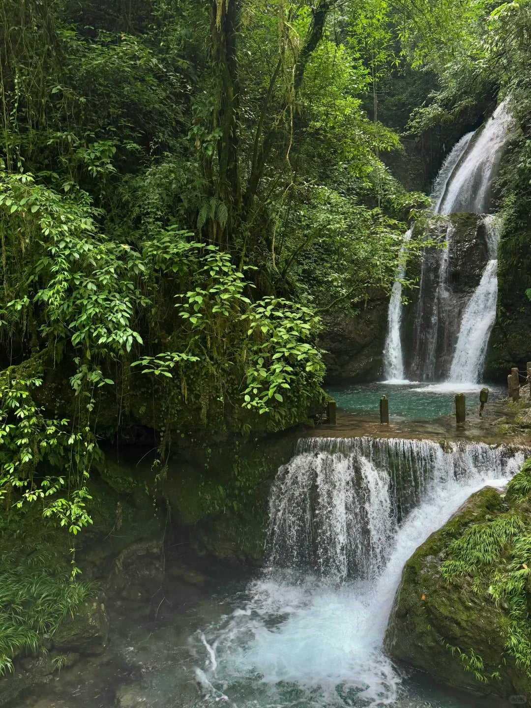 6-Day Emei, Leshan, Dujiangyan, Qingcheng Mountain & Panda Tour