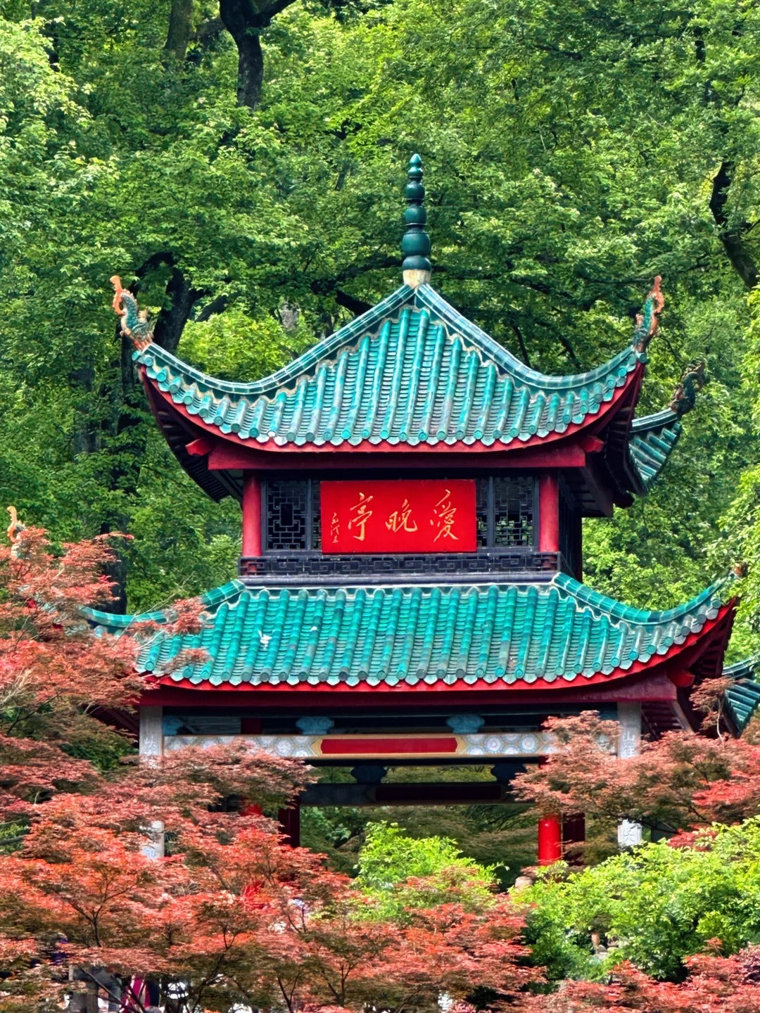3日长沙尊享私人游